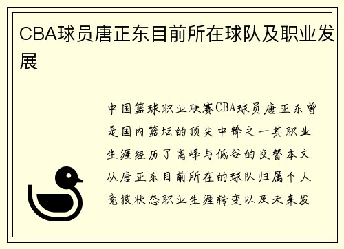CBA球员唐正东目前所在球队及职业发展