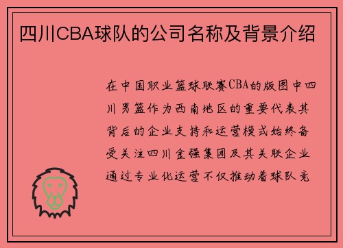 四川CBA球队的公司名称及背景介绍